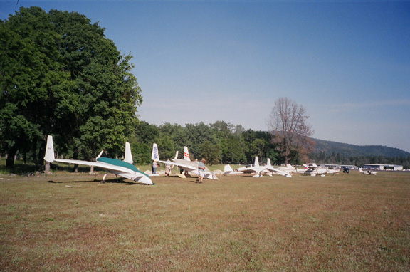 Picture of many canards in a row